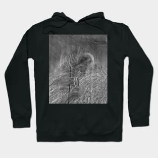 NASA Venus: Lakshmi Planum Hoodie